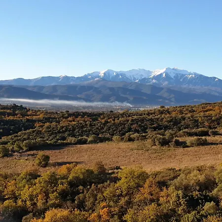 Bed and Breakfast Cat'studio 66