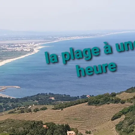 Bed and Breakfast Cat'studio 66 3*