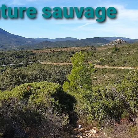 Cat'studio 66 3* Maury