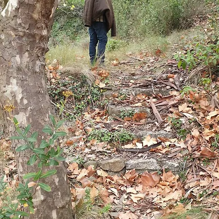 Cat'studio 66 Bed & Breakfast